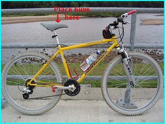 Miss Wobblybuns' bike