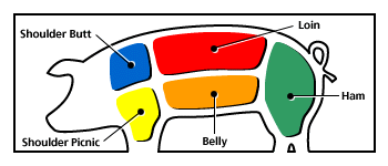 pork illustration