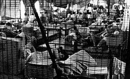 camp18 (hong kong).jpg (13134 bytes)