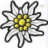 edelweiss