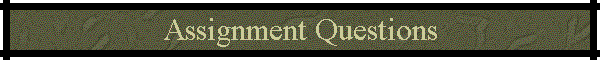 Assignment Questions