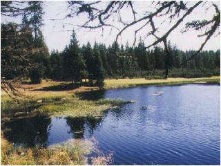 rno jezero 1