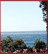 Villa Dingac, Peljesac peninsula,  image 3