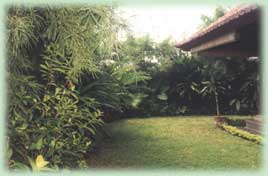 Private garden Frangipani Villa