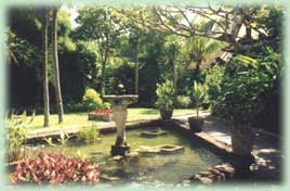 Lotus pond