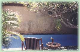 Plunge pool Frangipani Villa