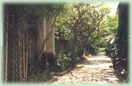 Walkside