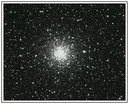 M55