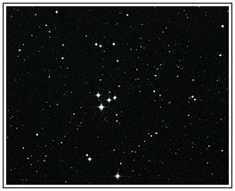 M73