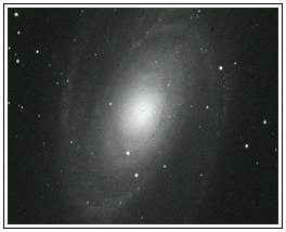 M81