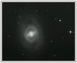 M95
