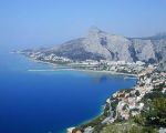 Omis