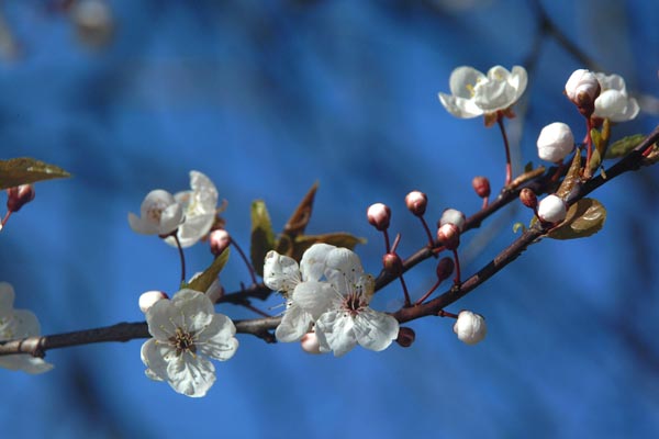 © FreeFoto