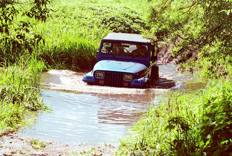 a06
