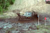 b26