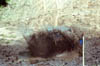 c06