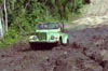 c13