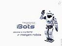 iBots.jpg