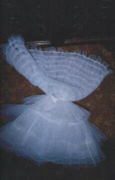 Flat view of 3-in-1 crinoline