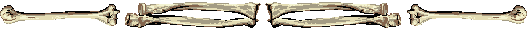Row of Bones