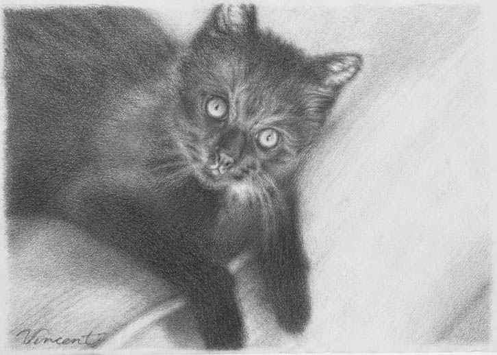 pencil-kitten