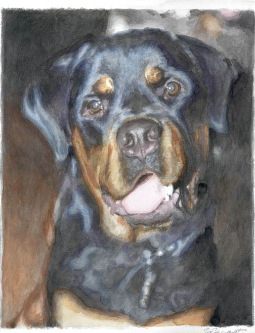 watercolor-Rottweiler