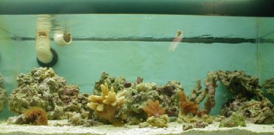 prop tank2f.jpg (19990 bytes)