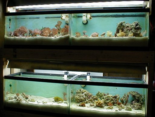 proptankfin.jpg (49390 bytes)