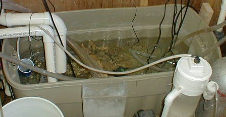 sumpfin.jpg (25311 bytes)