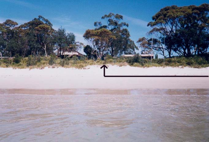 Property view from waters edge