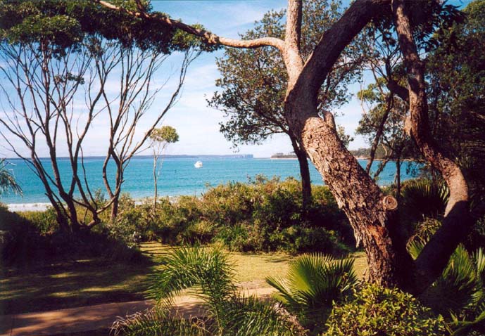 view from balcony