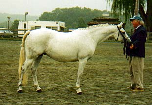 Kathryn Southard Photo