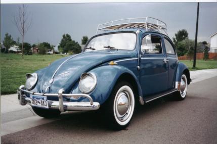 My bug!