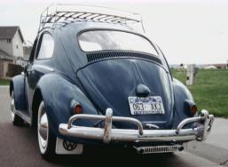 My bug!