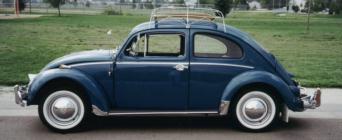 My bug!