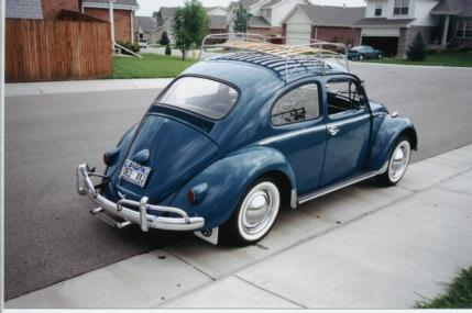 My bug!