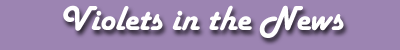 vn.gif (6937 bytes)