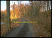 Positive Pause