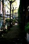Images/phv2003.jpg