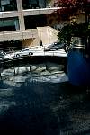 Images/phv2013.jpg