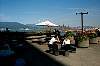 Images/phv2021.jpg