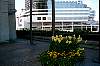 Images/phv2023.jpg