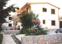 garden2.jpg (82423 bytes)