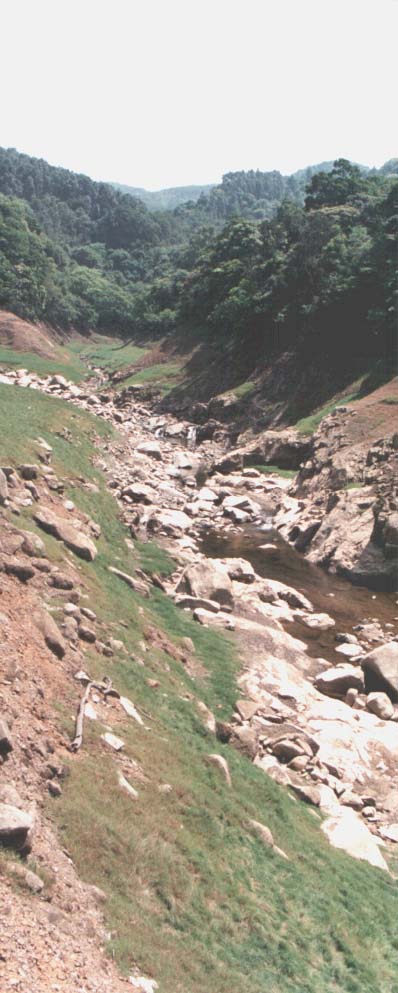 hill.jpg (75305 bytes)