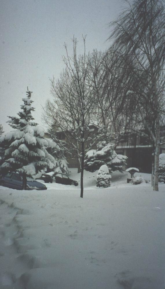 snow2.jpg (111097 bytes)