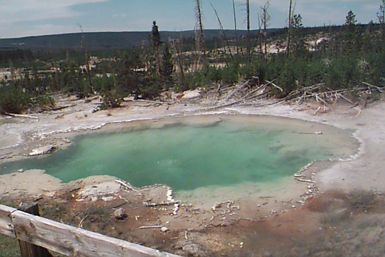 yallowstone17.JPG (94695 bytes)