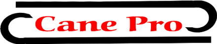 CanePro
