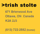 trish stolte contact info