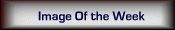 Image Of The Week