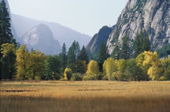 Yosemite_National_Park_California_FA.jpg